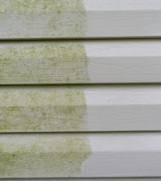 3 Ways to Prevent Mold on Vinyl Siding